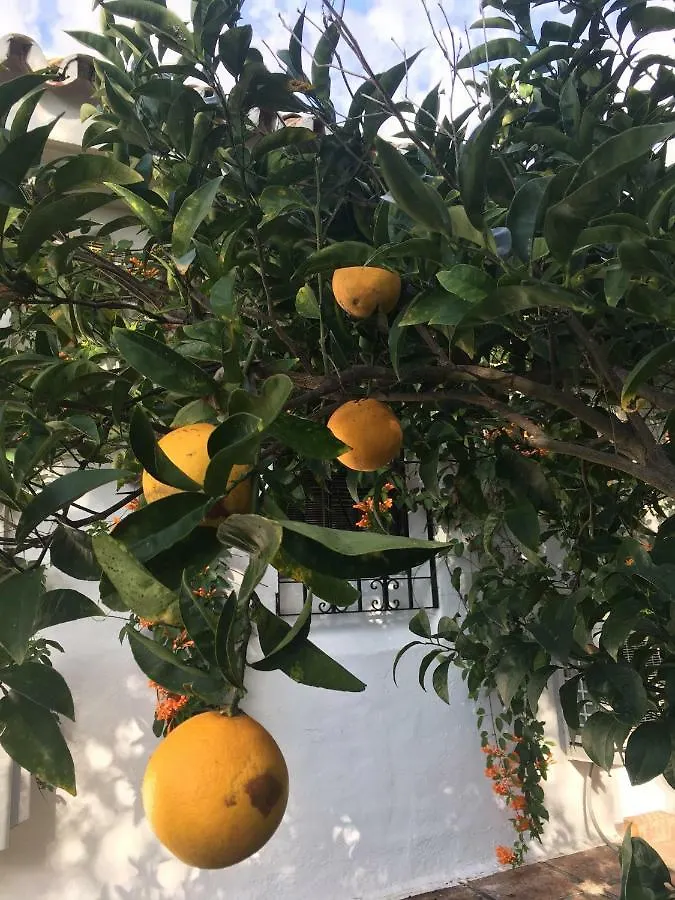 Villa With Private Pool And Garden In מארבלה 0*,